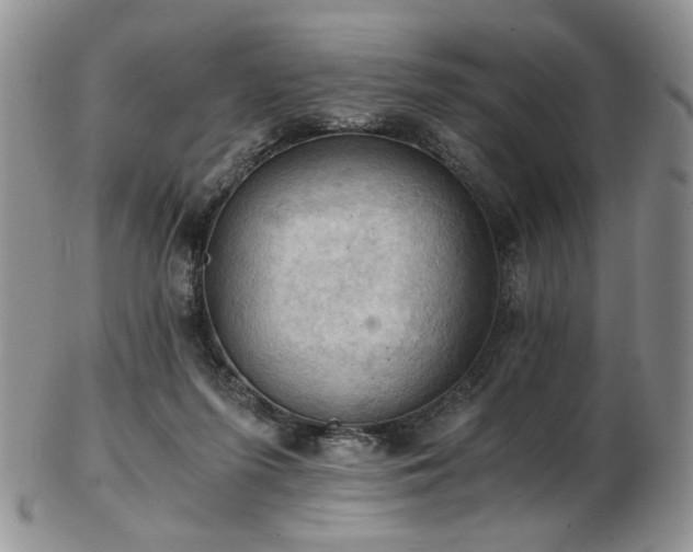 X0000103140215200808221223