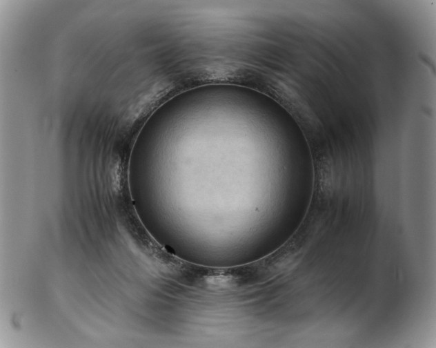 X0000103140216200808221223