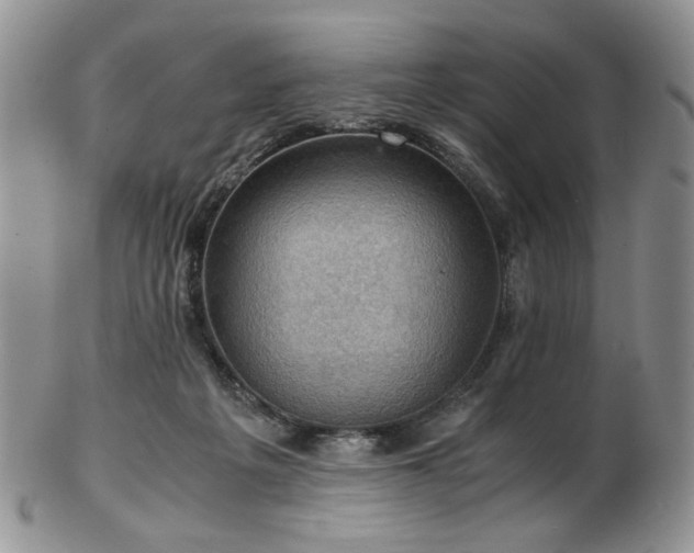 X0000103140217200808221223