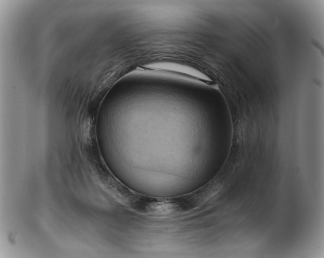 X0000103140219200808221223