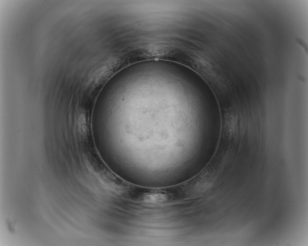 X0000103140220200808221223