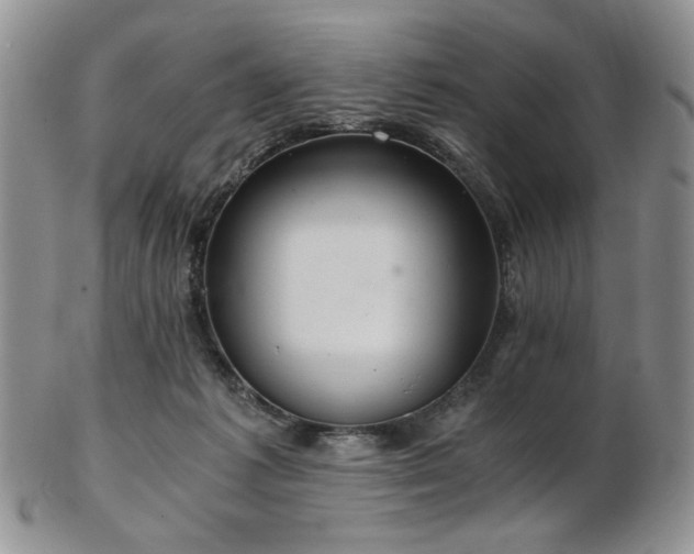 X0000103140221200808221223