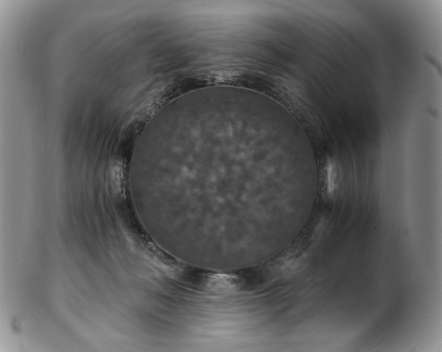 X0000103140222200808221223