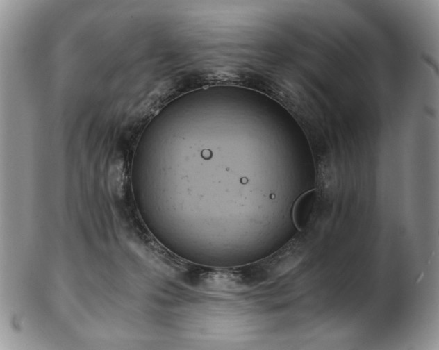 X0000103140223200808221223