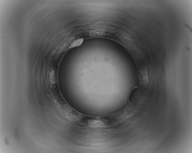 X0000103140224200808221223