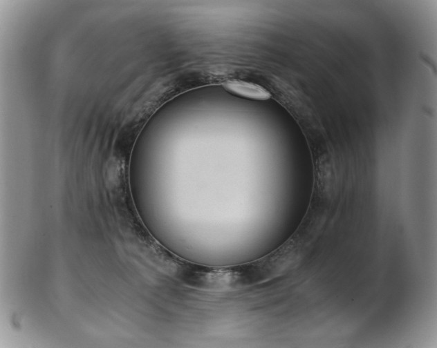 X0000103140225200808221223