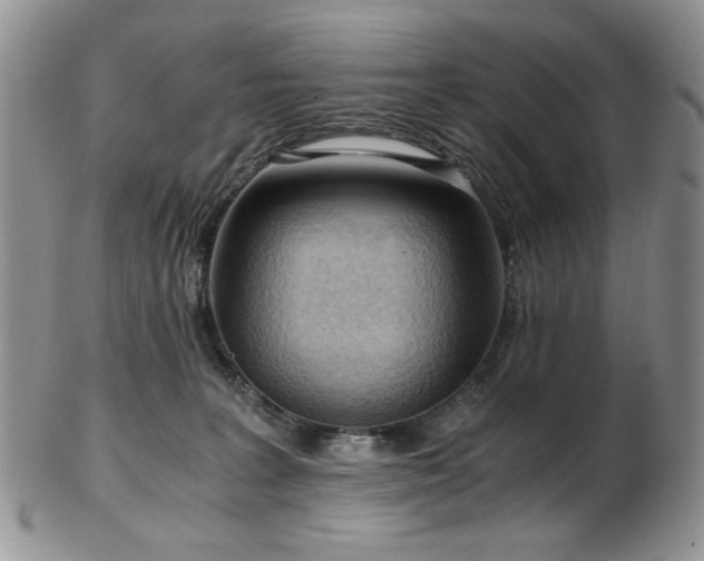 X0000103140227200808221223