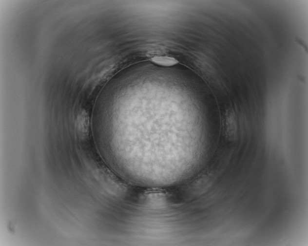 X0000103140228200808221223