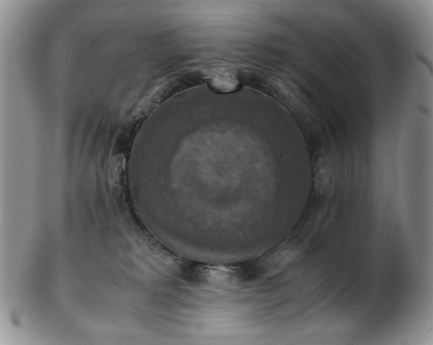 X0000103140229200808221223