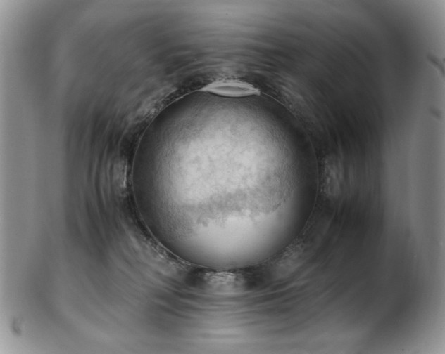 X0000103140230200808221223