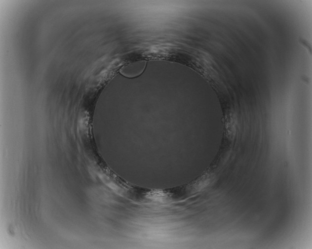 X0000103140231200808221223