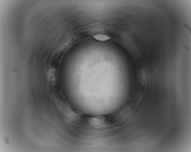 X0000103140232200808221223