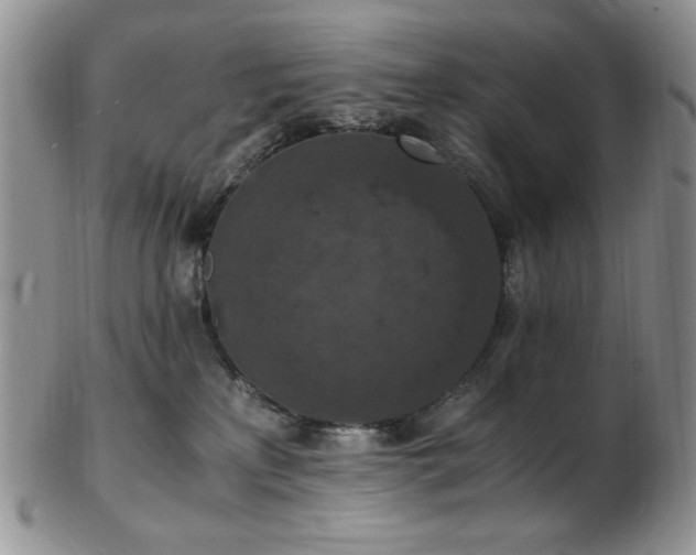 X0000103140233200808221223