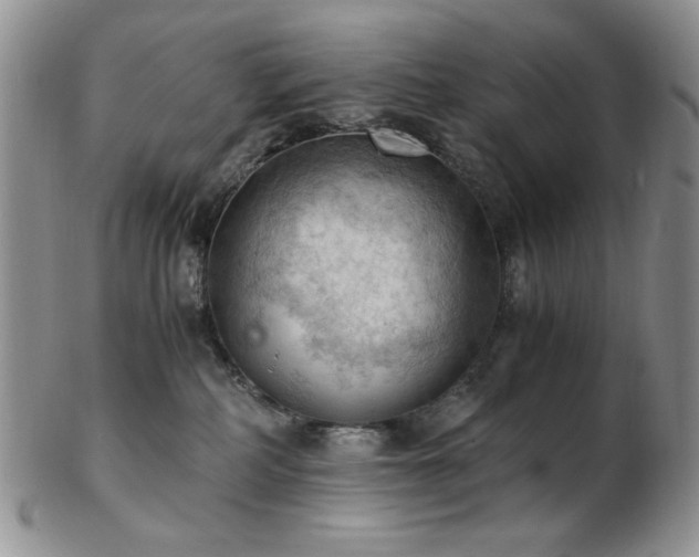 X0000103140234200808221223