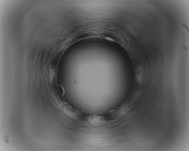 X0000103140235200808221223