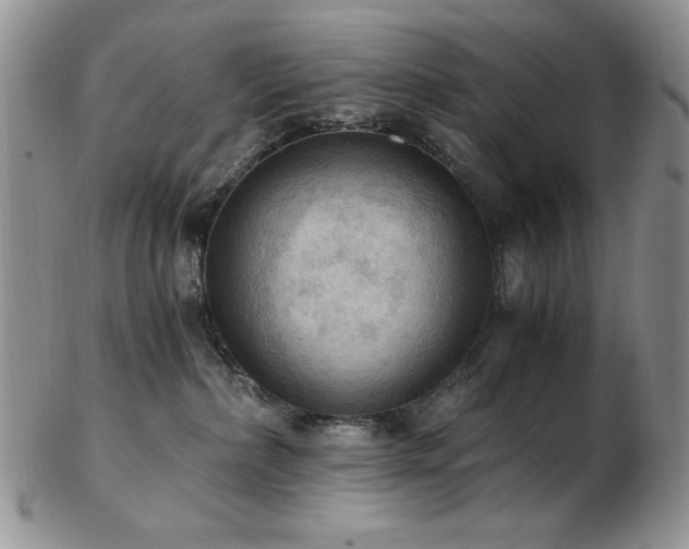 X0000103140236200808221223