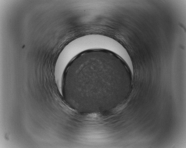 X0000103140237200808221223