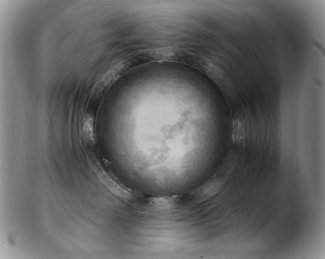 X0000103140238200808221223