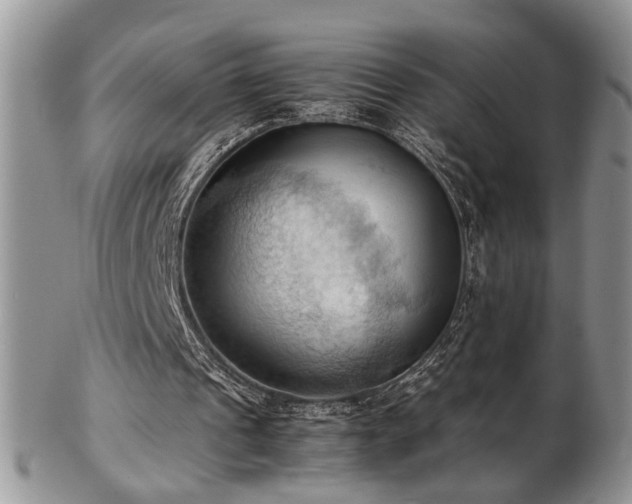 X0000103140241200808221222