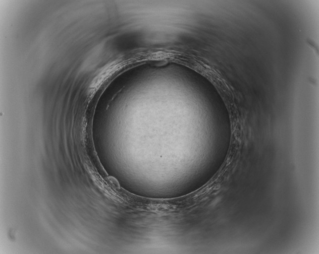 X0000103140242200808221222