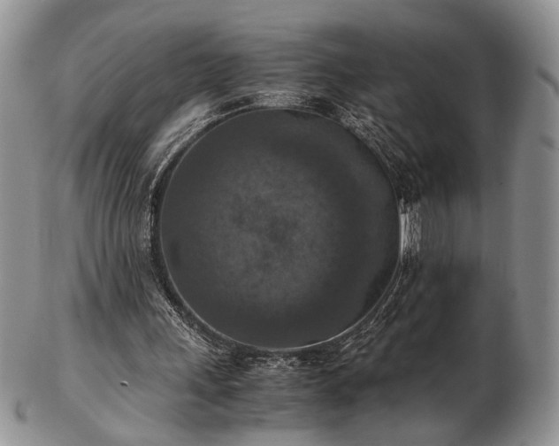 X0000103140243200808221222