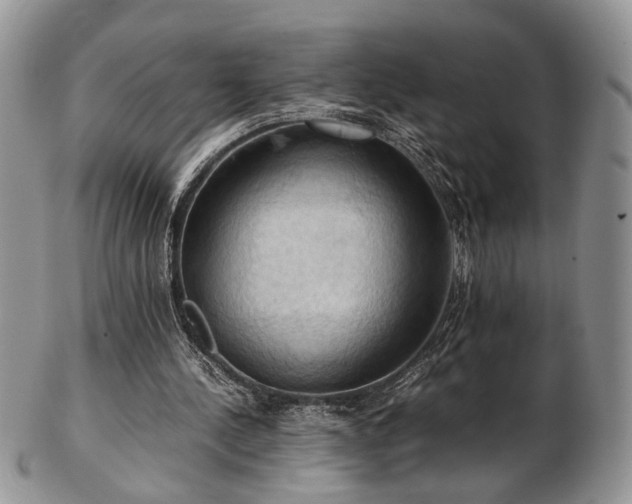 X0000103140244200808221222