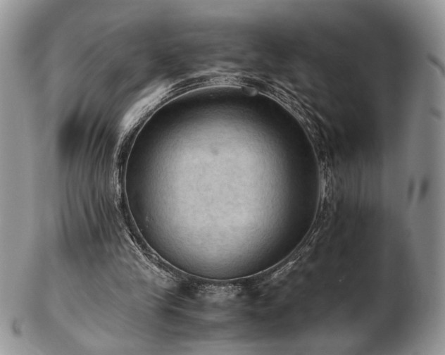 X0000103140245200808221222