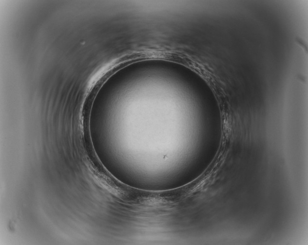 X0000103140246200808221222