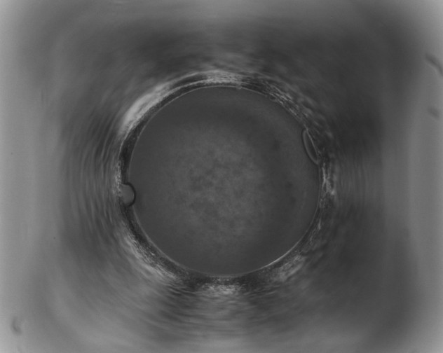 X0000103140247200808221222