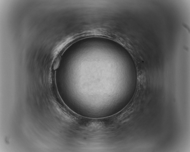 X0000103140248200808221222