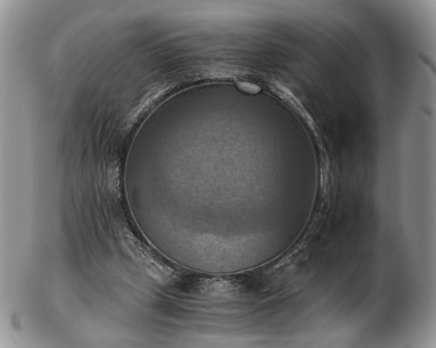 X0000103140249200808221222