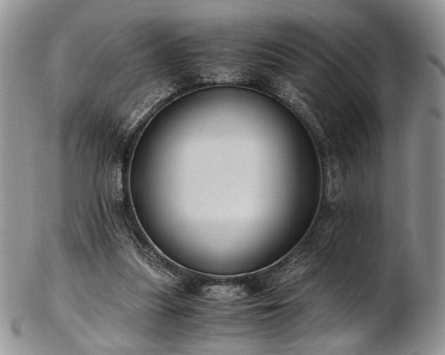 X0000103140251200808221222