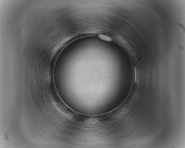 X0000103140252200808221222