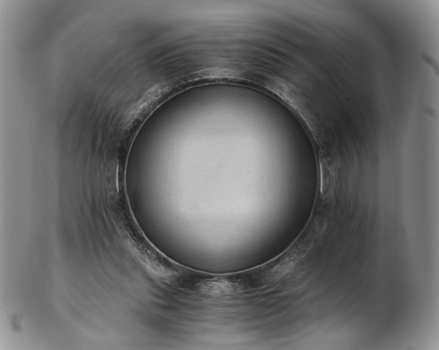 X0000103140253200808221222