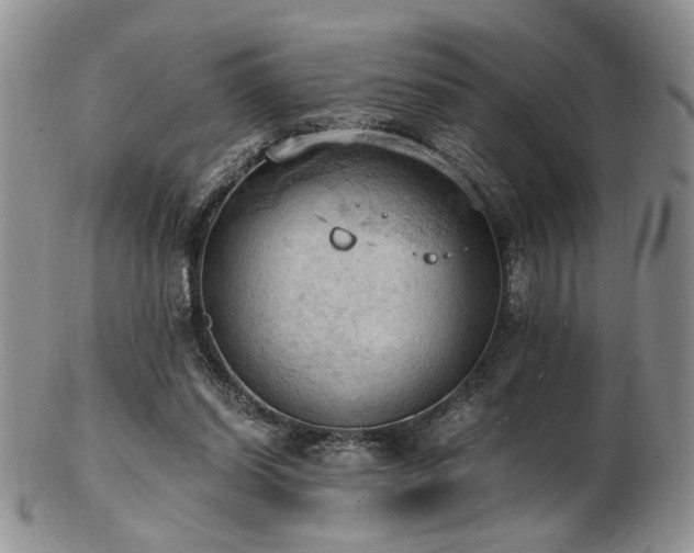 X0000103140254200808221222