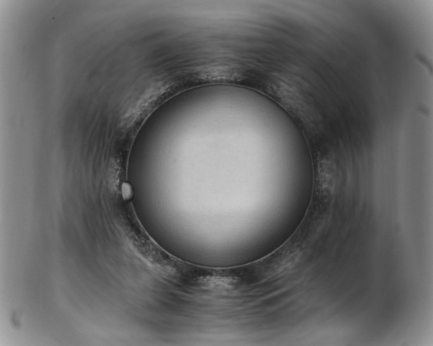 X0000103140255200808221222