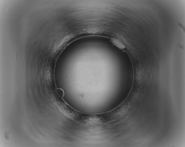 X0000103140256200808221222