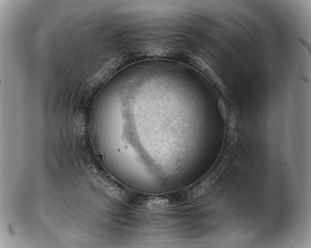 X0000103140257200808221222