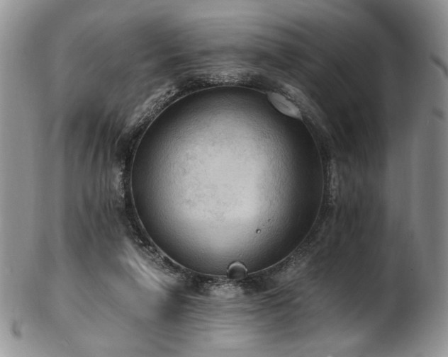 X0000103140258200808221222