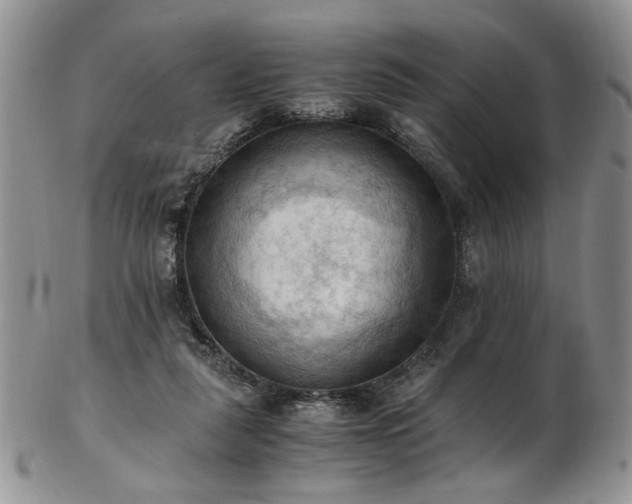 X0000103140259200808221222