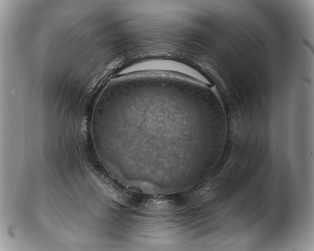 X0000103140260200808221222