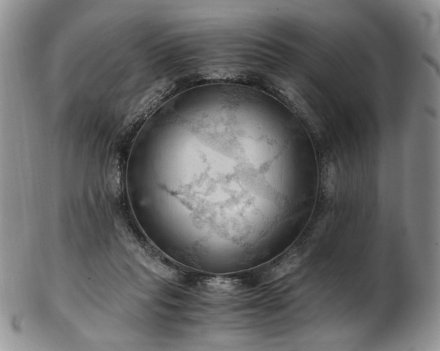 X0000103140261200808221222