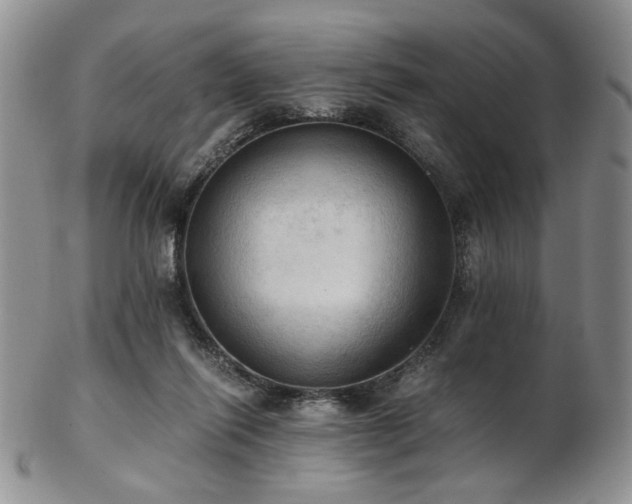 X0000103140262200808221222