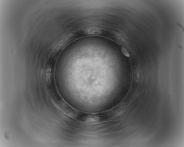 X0000103140263200808221222