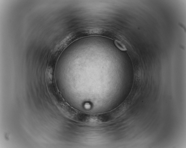 X0000103140264200808221222