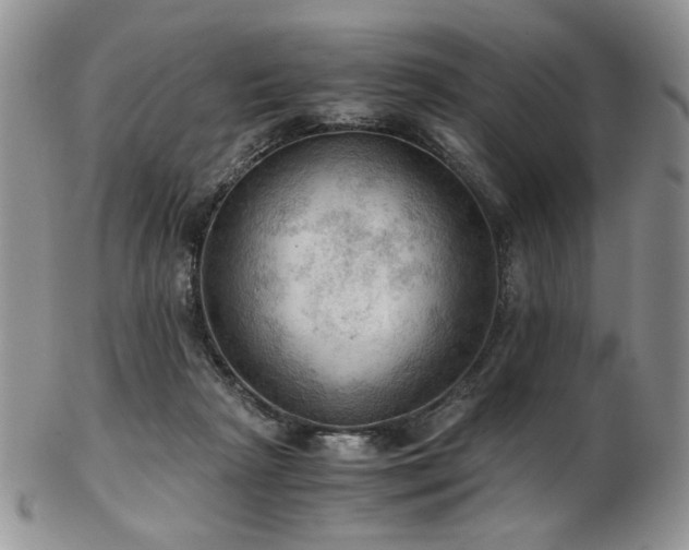 X0000103140265200808221222