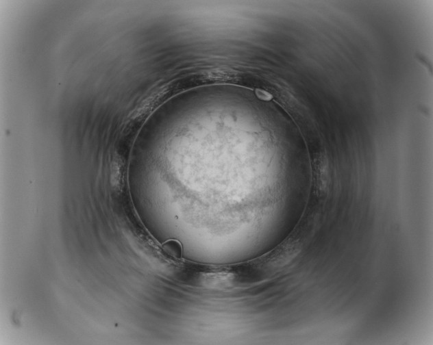 X0000103140266200808221222