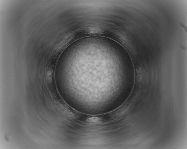 X0000103140269200808221222