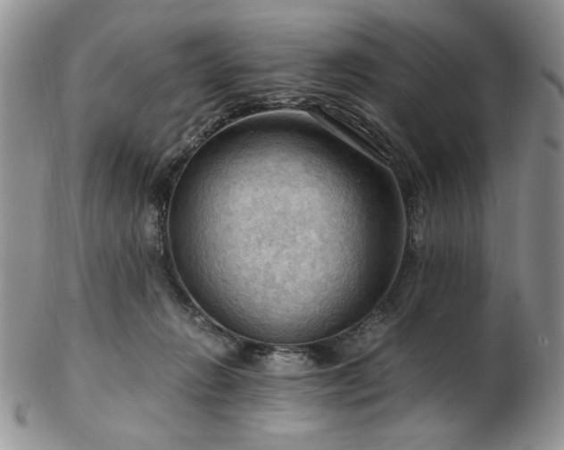 X0000103140270200808221222