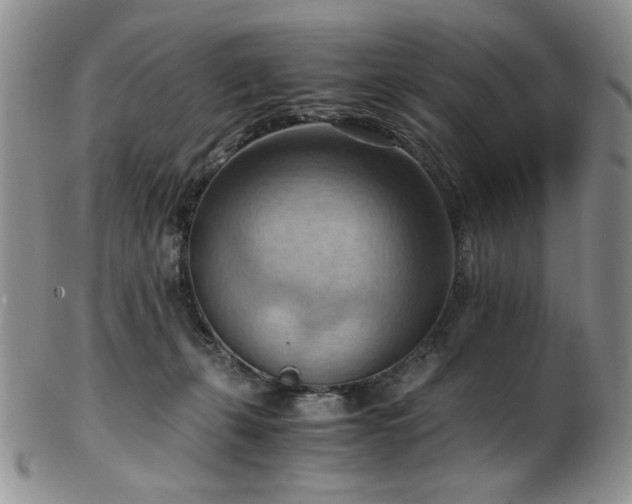 X0000103140271200808221222